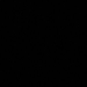 Meet your Posher, Arleen